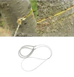 Skandia Draadzaag Met Handgrepen - 500 Mm -WerkPro Verkoopwinkel 1168x1200 11