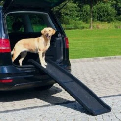 Trixie Car Ramp Loopplank Opvouwbaar Zwart - 156X40CM -WerkPro Verkoopwinkel 1200x1200 2519