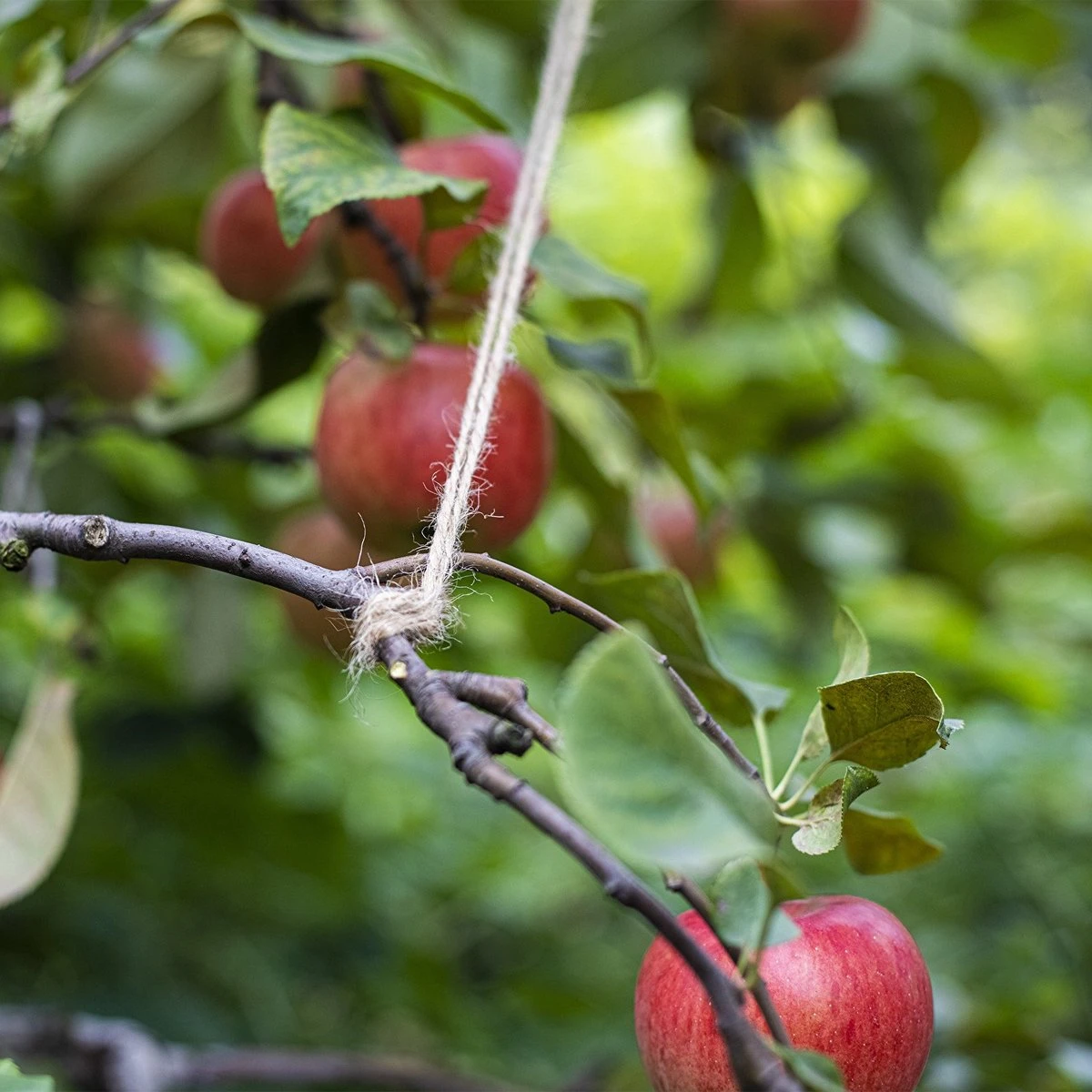 Jute Touw 110 Meter X 2 Mm 250 Gram 6 Jute Touw 110 Meter X 2 Mm 250 Gram - Afbeelding 4