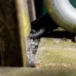 TEKKSTEEL Muis & Rat STOP - Muizen Staalwol 200 Gram - RVS Staalwol Tegen Muizen - Ongediertewering - Ongediertebestrijding -WerkPro Verkoopwinkel 1200x1200 3602