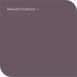 Levis Colores Del Mundo Muur- & Plafondverf - Relaxed Outback - Mat - 2,5 Liter -WerkPro Verkoopwinkel 1200x1200 3656