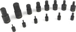 14 Delige Kracht Inbus Doppenset Inch Maten -WerkPro Verkoopwinkel 1200x499 1