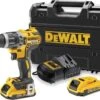 DeWALT DCD796D2 Accu Klopboormachine - 18V - 2 Accu's -WerkPro Verkoopwinkel 1200x895