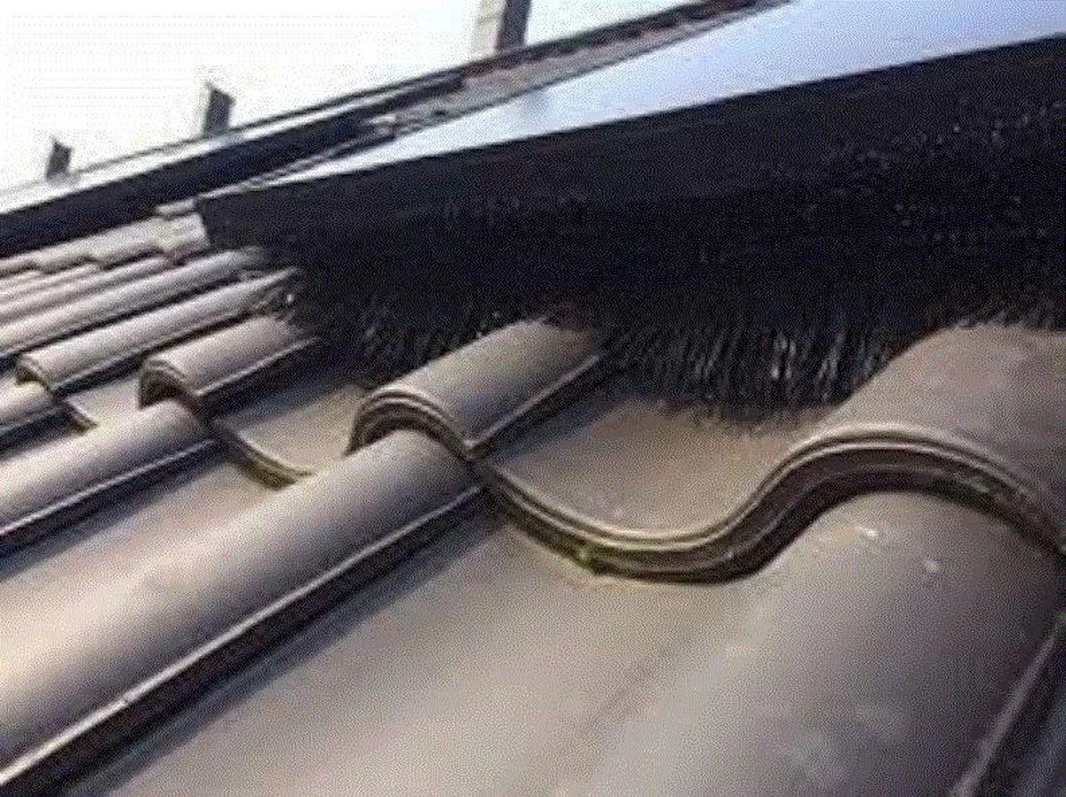 Vogelweringborstel - Zonnepanelenborstel 12 Mtr Lang, 12 Cm Diameter 8 Vogelweringborstel - Zonnepanelenborstel 12 Mtr Lang, 12 Cm Diameter - Afbeelding 6