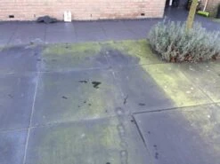 Biologische Terras & Opritreiniger 5L 16 Biologische Terras & Opritreiniger 5L -WerkPro Verkoopwinkel 1200x900 336