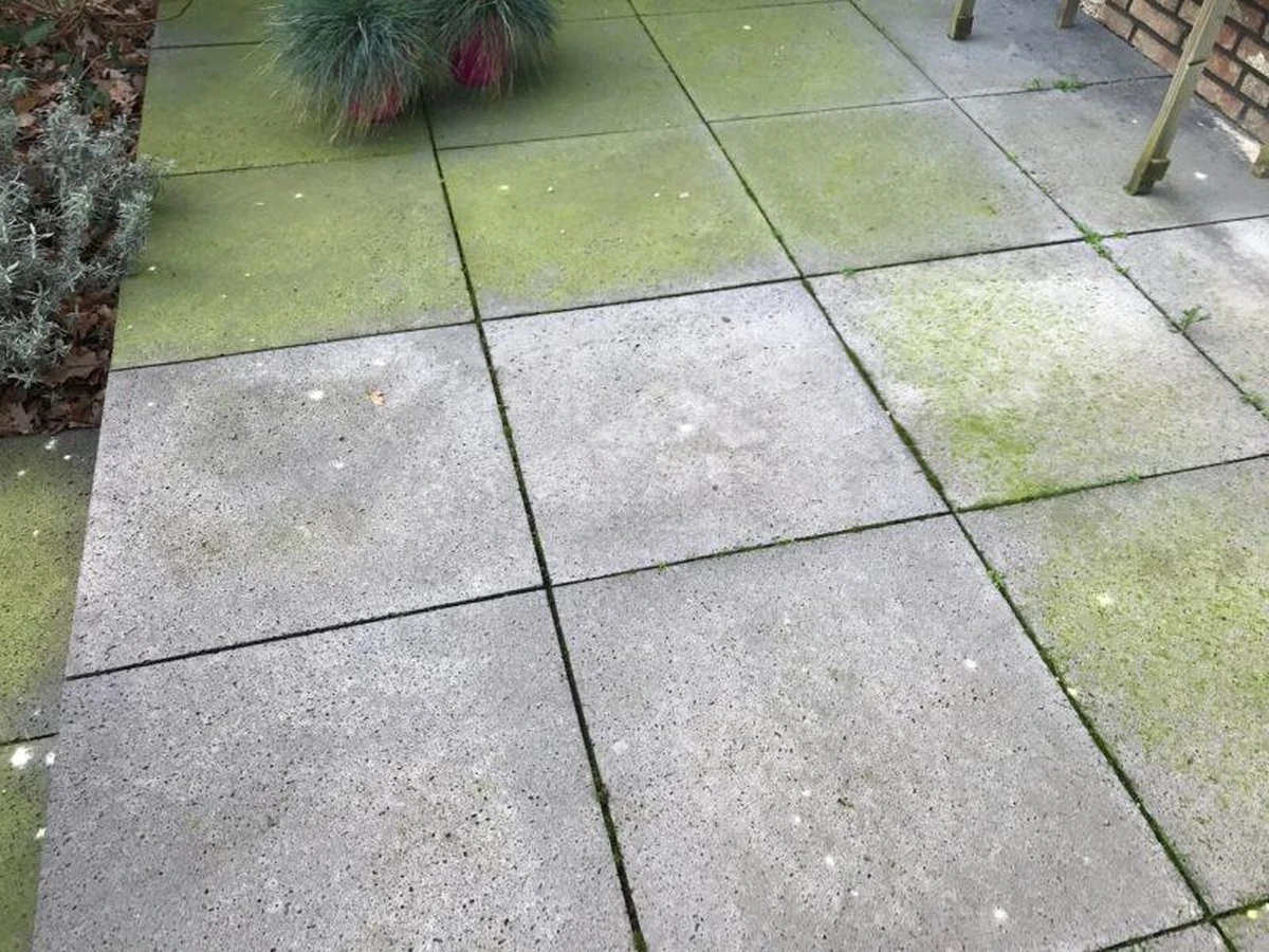 Biologische Terras & Opritreiniger 5L 9 Biologische Terras & Opritreiniger 5L - Afbeelding 7