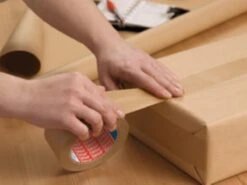 Tesa Verpakkingstape Eco Papier - Bruin - 50mx50mm -WerkPro Verkoopwinkel 1200x900 346