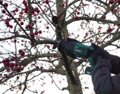 VONROC Accu Reciprozaag – VPower 20V – Incl. 2x 2.0Ah Accu, Sneloplader, Zaagbladen & Opbergtas -WerkPro Verkoopwinkel 1200x943 2