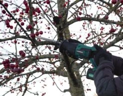 VONROC Accu Reciprozaag – VPower 20V – Incl. Zaagbladen & Opbergtas - Losse Body (geleverd Zonder Accu En Lader) -WerkPro Verkoopwinkel 1200x943 3