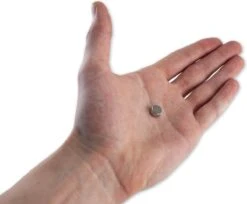 Brute Strength - Super Sterke Magneten - Rond - 10 X 5 Mm - 20 Stuks - Geschikt Voor Radiatorfolie - Neodymium Magneet Sterk - Voor Koelkast - Whiteboard -WerkPro Verkoopwinkel 1200x992 14