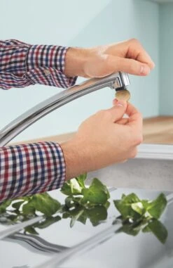 GROHE BauEco Keukenkraan - Lage Uitloop - Chroom - 31680000 -WerkPro Verkoopwinkel 777x1200