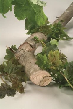 Bosch Reciprozaagbladen - 3-delig -WerkPro Verkoopwinkel 802x1200 6