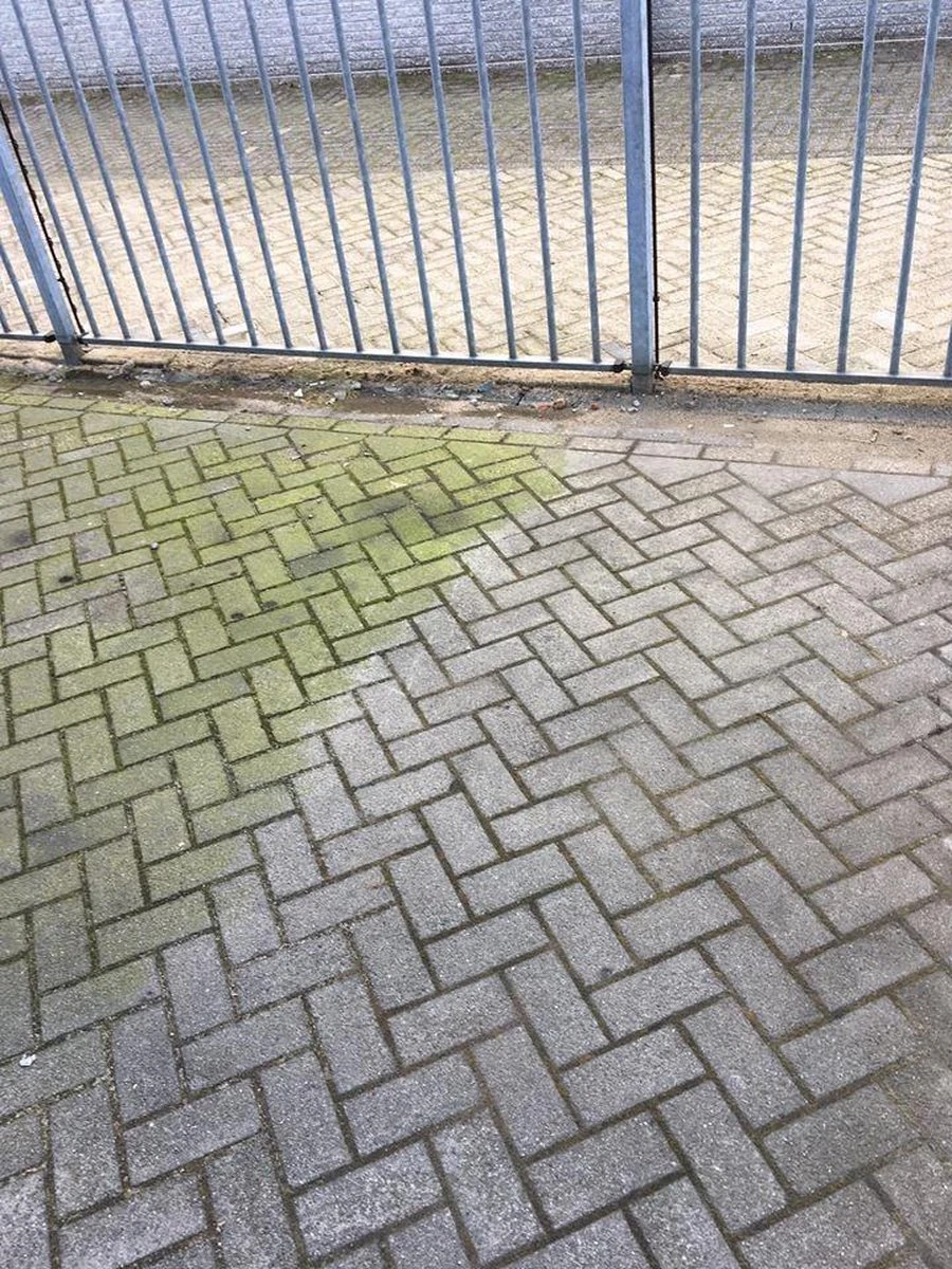 Biologische Terras & Opritreiniger 5L 6 Biologische Terras & Opritreiniger 5L - Afbeelding 4