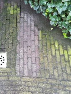 Biologische Terras & Opritreiniger 5L 18 Biologische Terras & Opritreiniger 5L -WerkPro Verkoopwinkel 900x1200 94