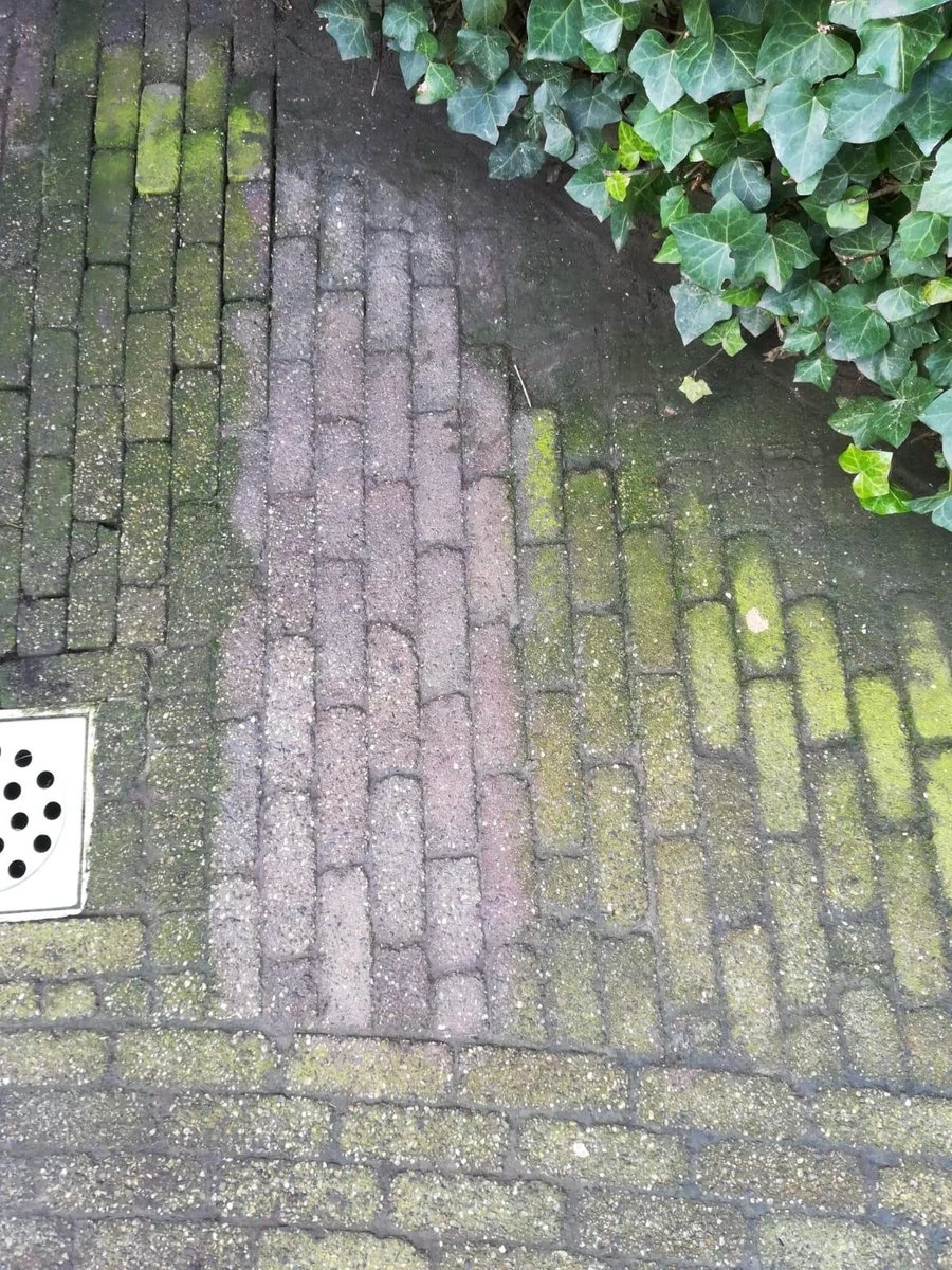 Biologische Terras & Opritreiniger 5L 10 Biologische Terras & Opritreiniger 5L - Afbeelding 8