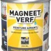 Magpaint Magneetverf - 250ML = 0,5m2 - Super Sterke Kwaliteit
